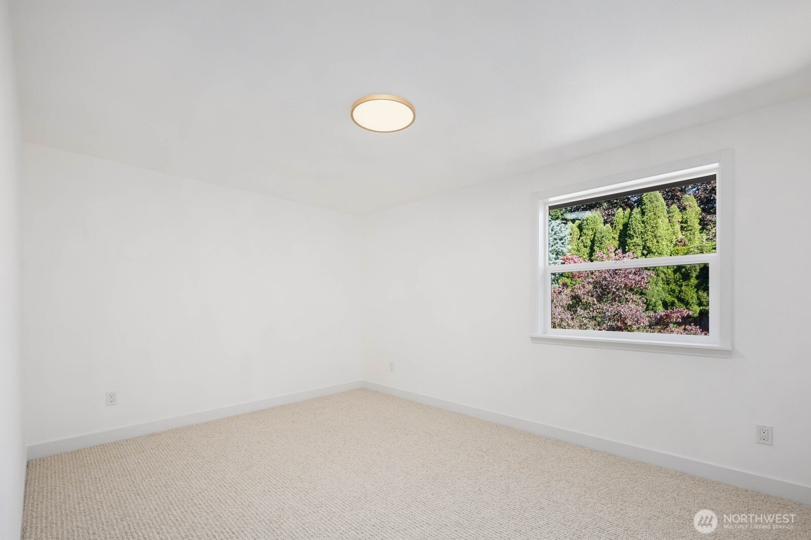 57 Chapman Loop Property Photo 25