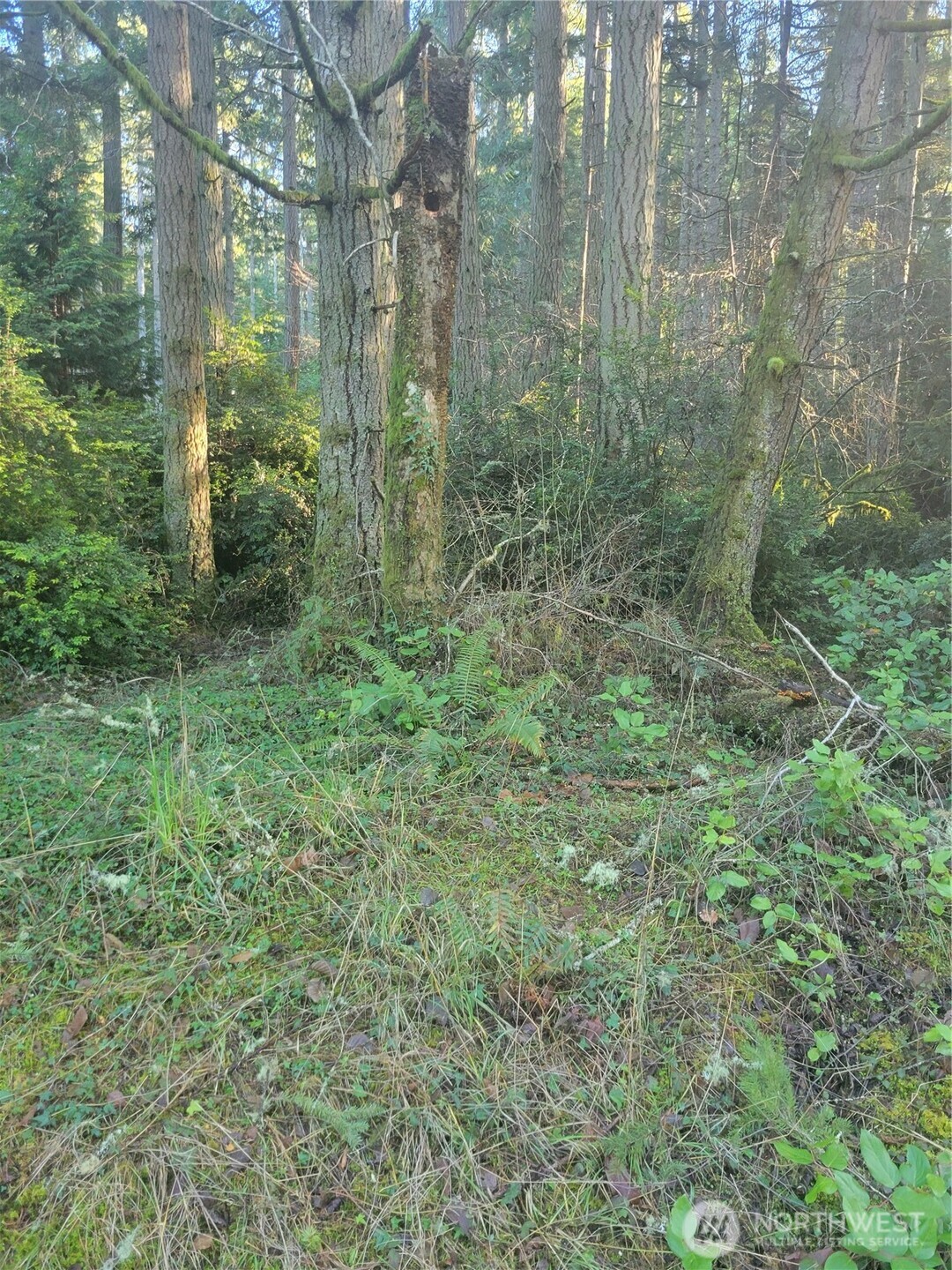 11920 Country Club Drive Property Photo 1