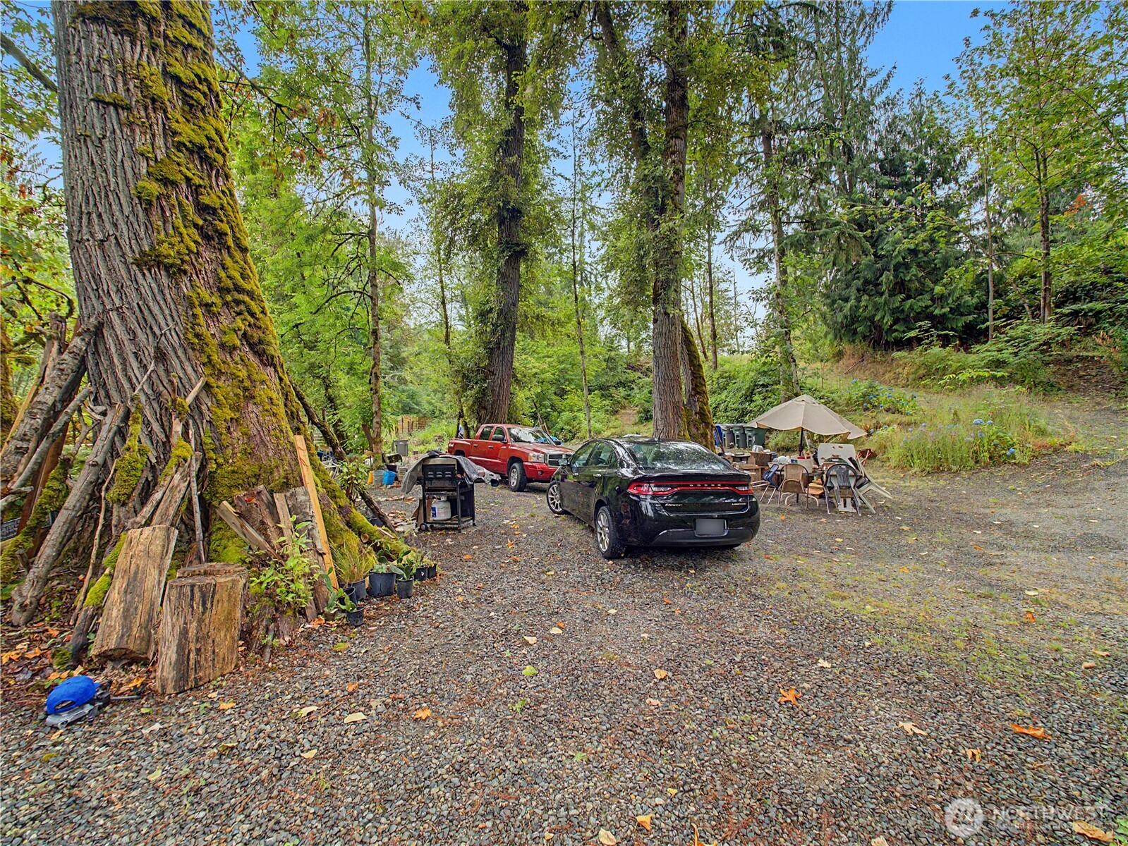 38311 Enumclaw Franklin Road Property Photo 13