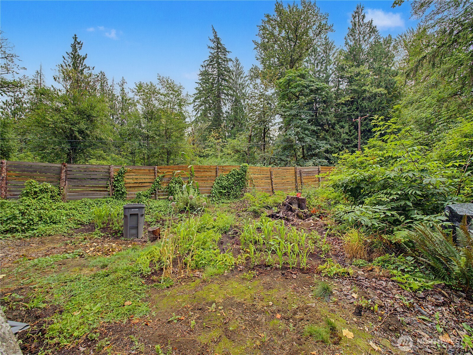 38311 Enumclaw Franklin Road Property Photo 18