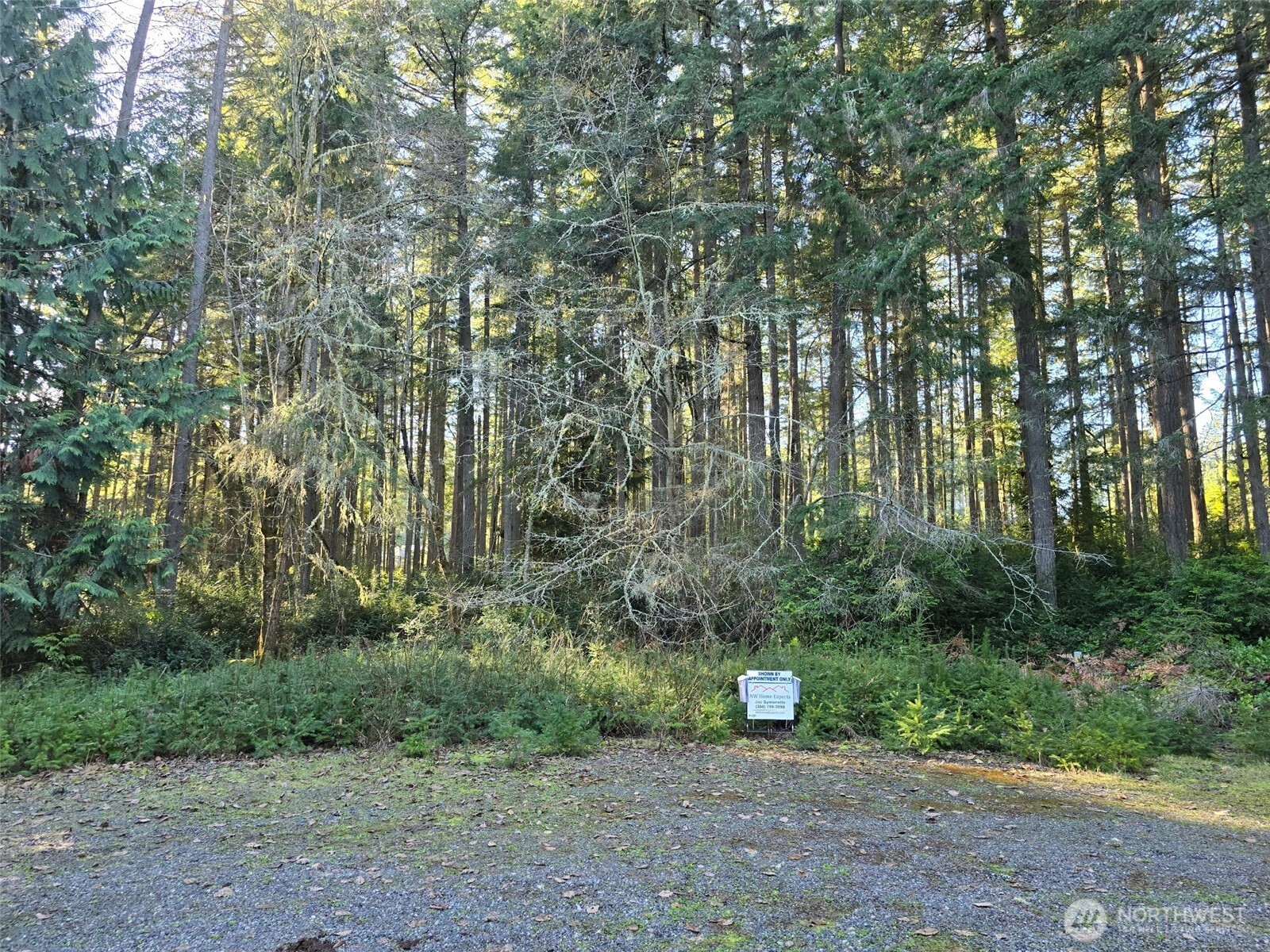 11620 Mill Place Property Photo 3