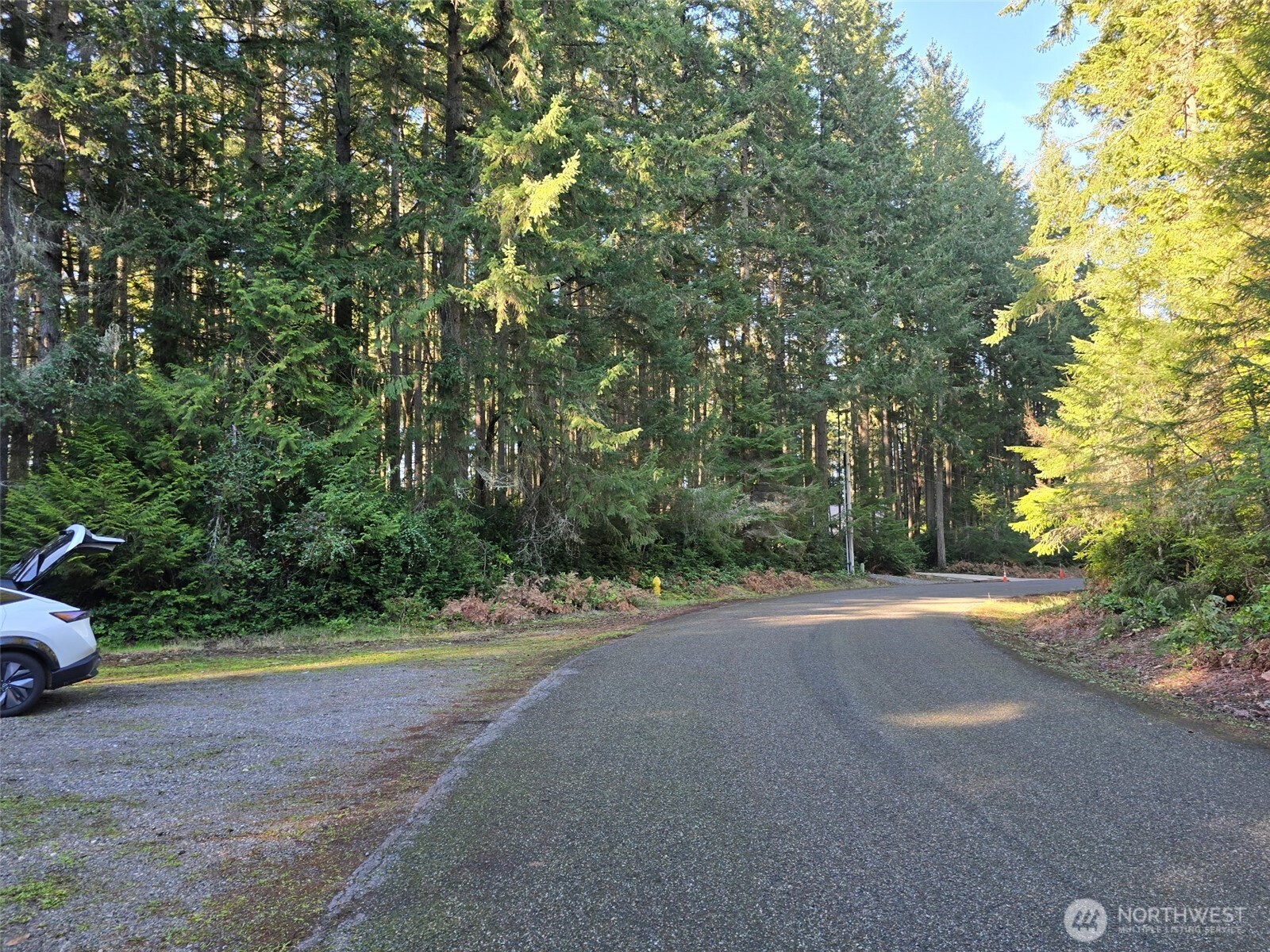 11620 Mill Place Property Photo 6
