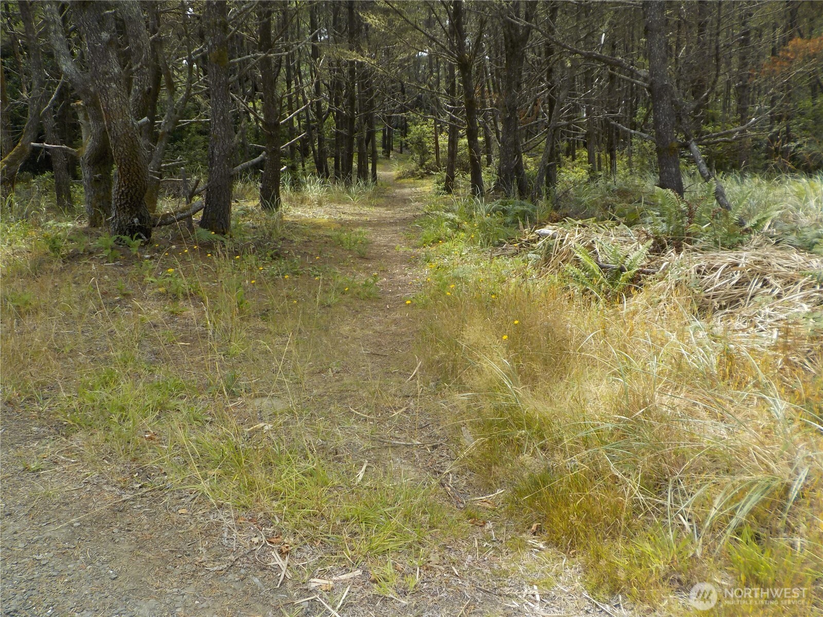 890 273rd Ln Property Photo 11