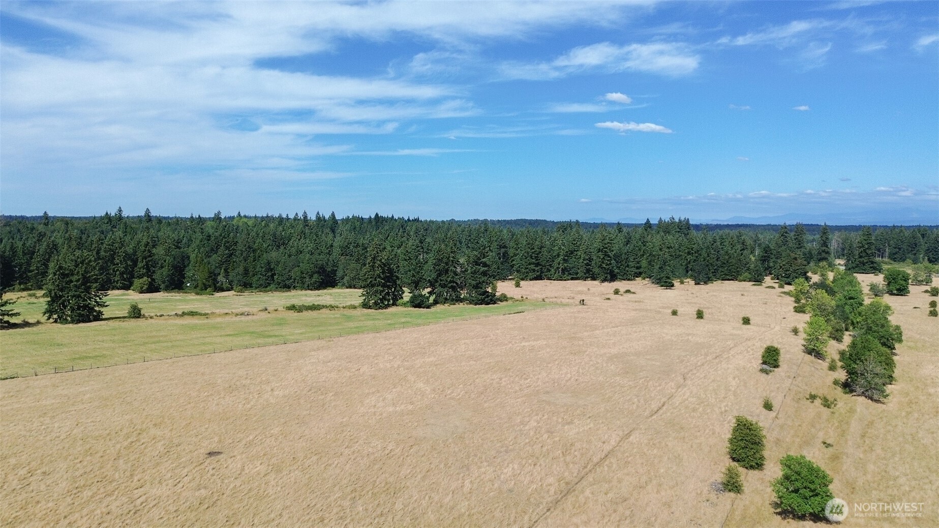 12306 Bald Hill Road Property Photo 4