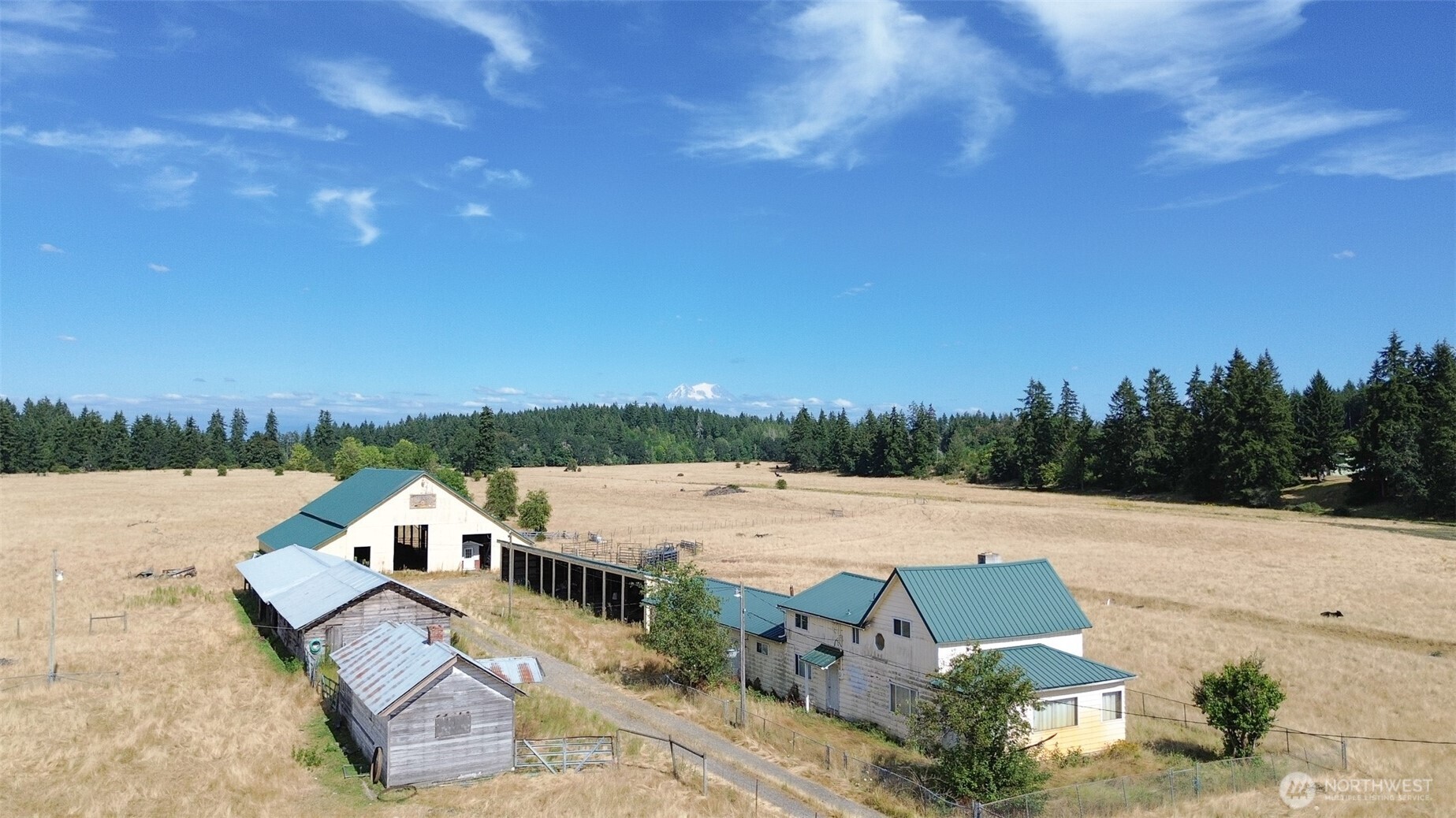12306 Bald Hill Road Property Photo 6
