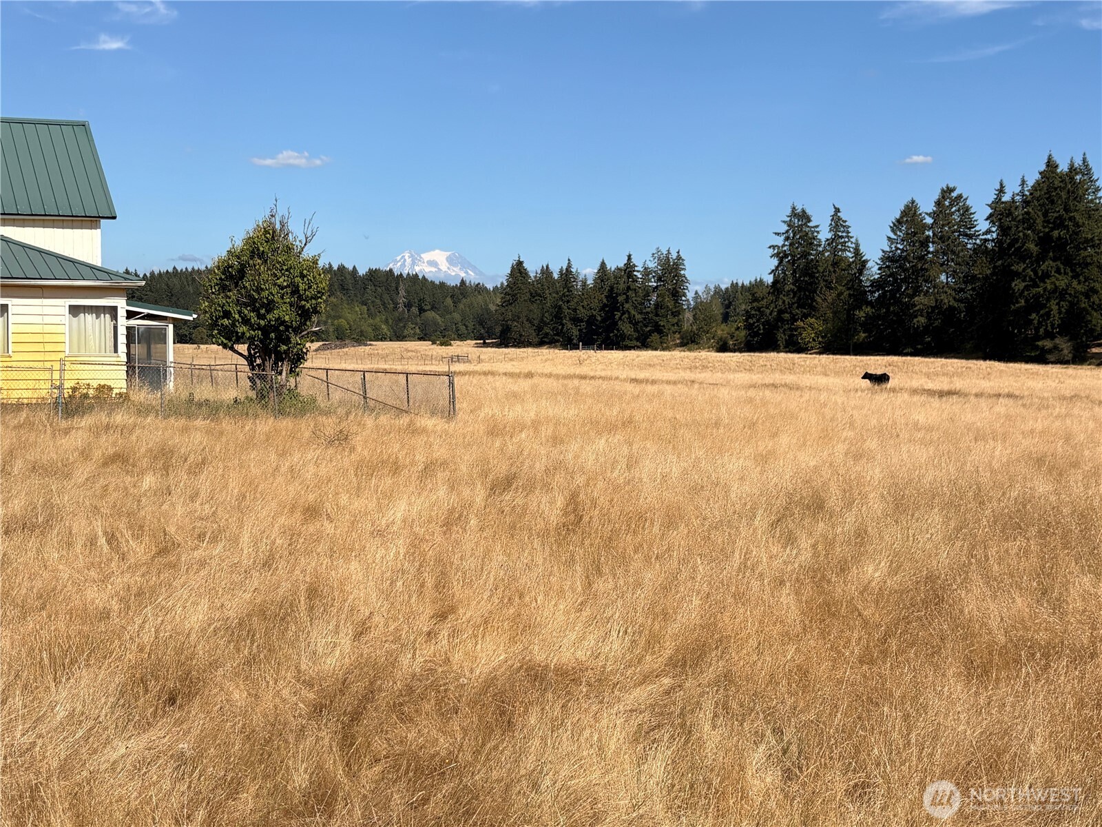 12306 Bald Hill Road Property Photo 7