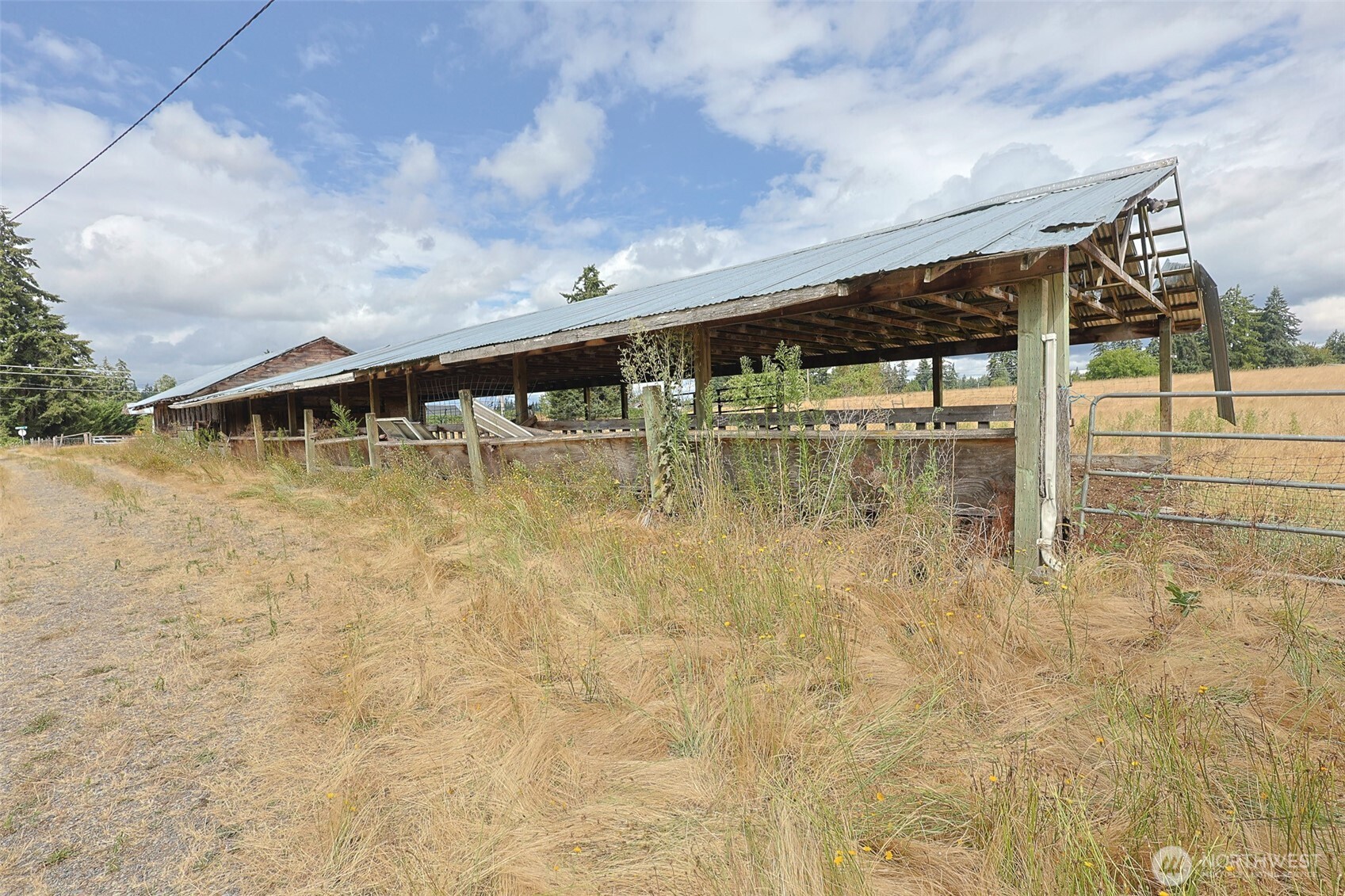 12306 Bald Hill Road Property Photo 11