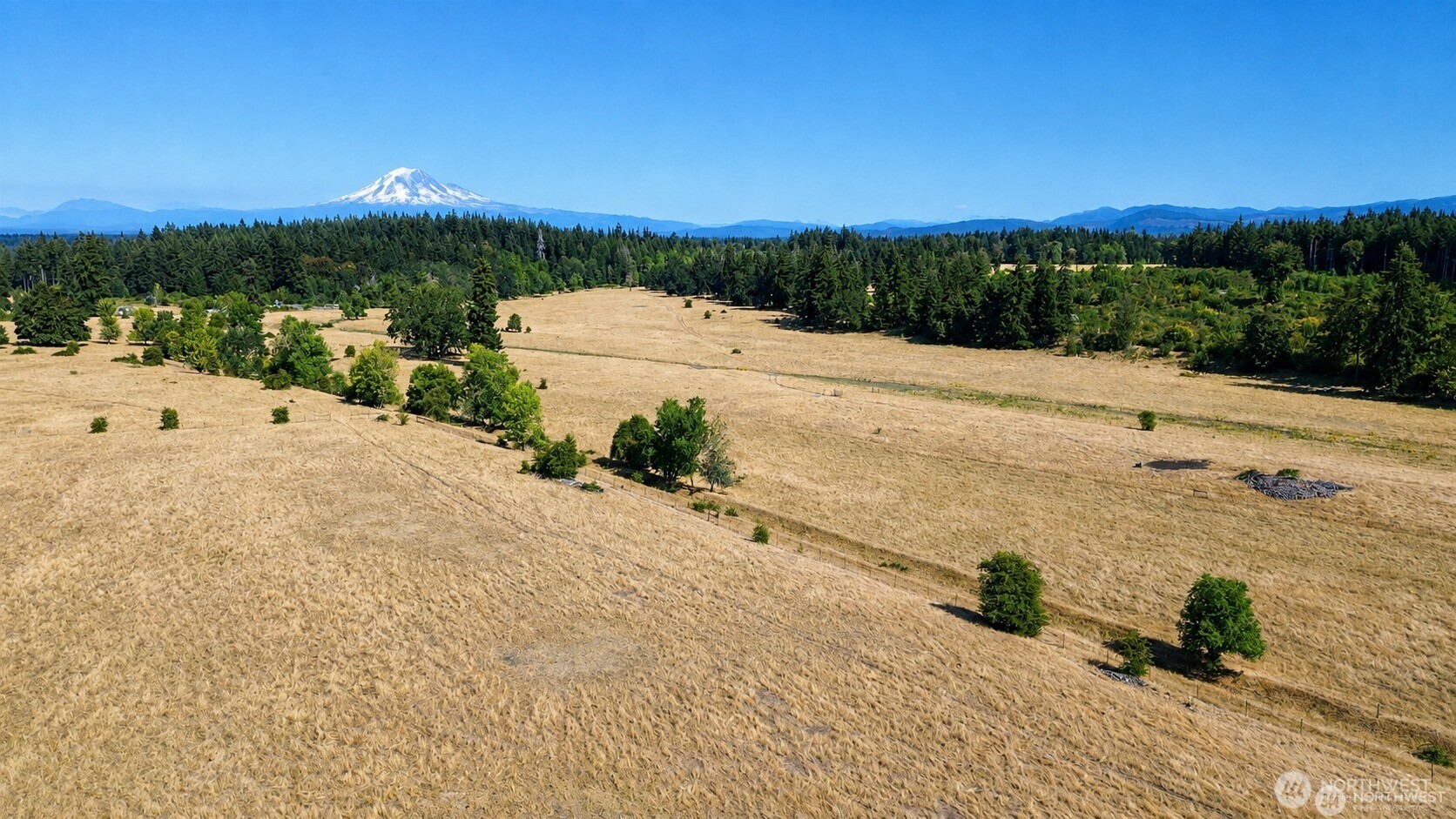 12306 Bald Hill Rd Property Photo 1