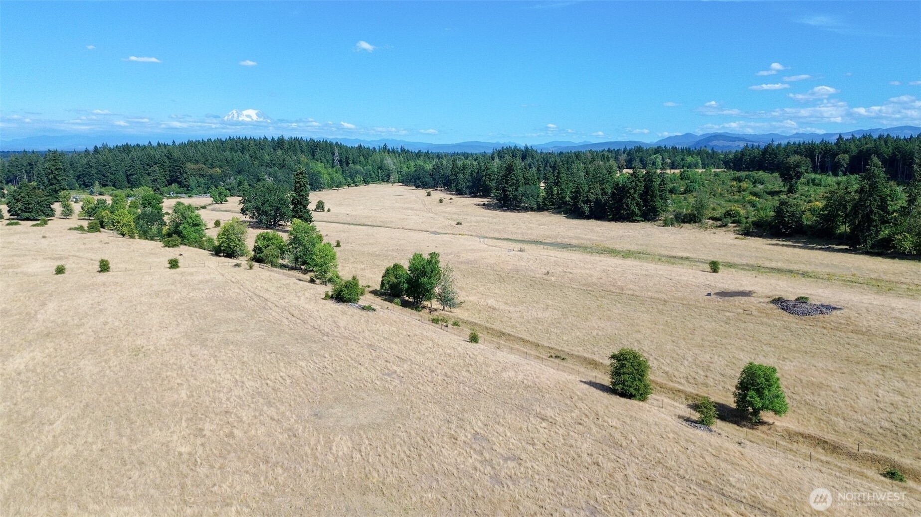 12306 Bald Hill Rd Property Photo 14
