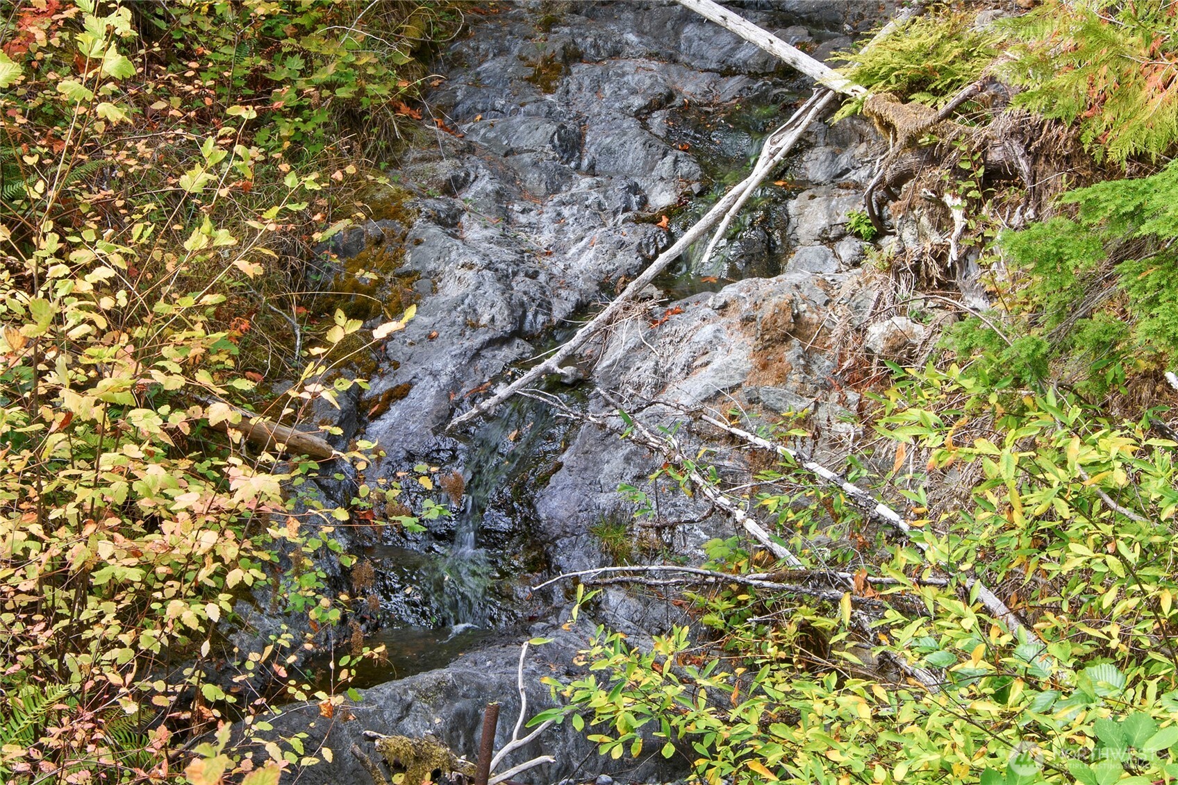 304292 Highway 101 Property Photo 4