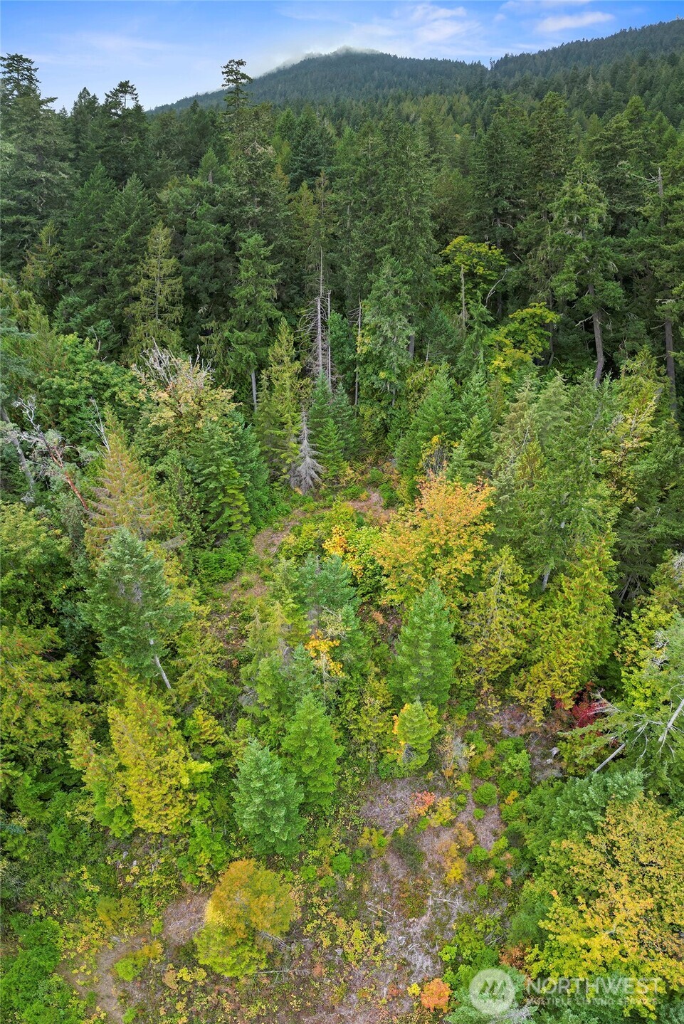 304292 Highway 101 Property Photo 27