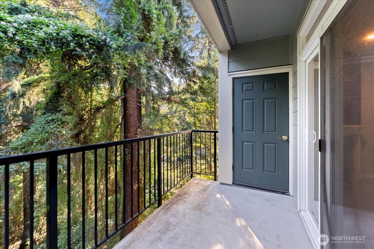 2565507 Property Photo 13