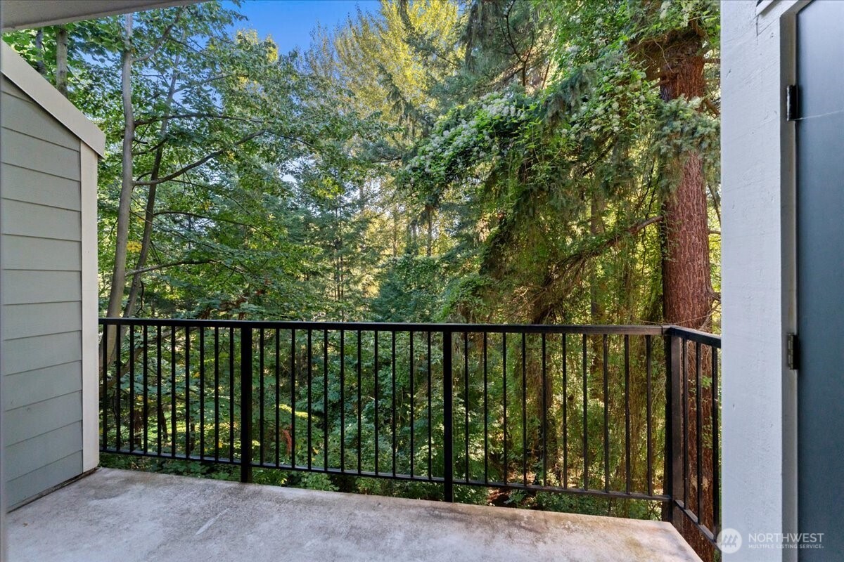 2565507 Property Photo 14