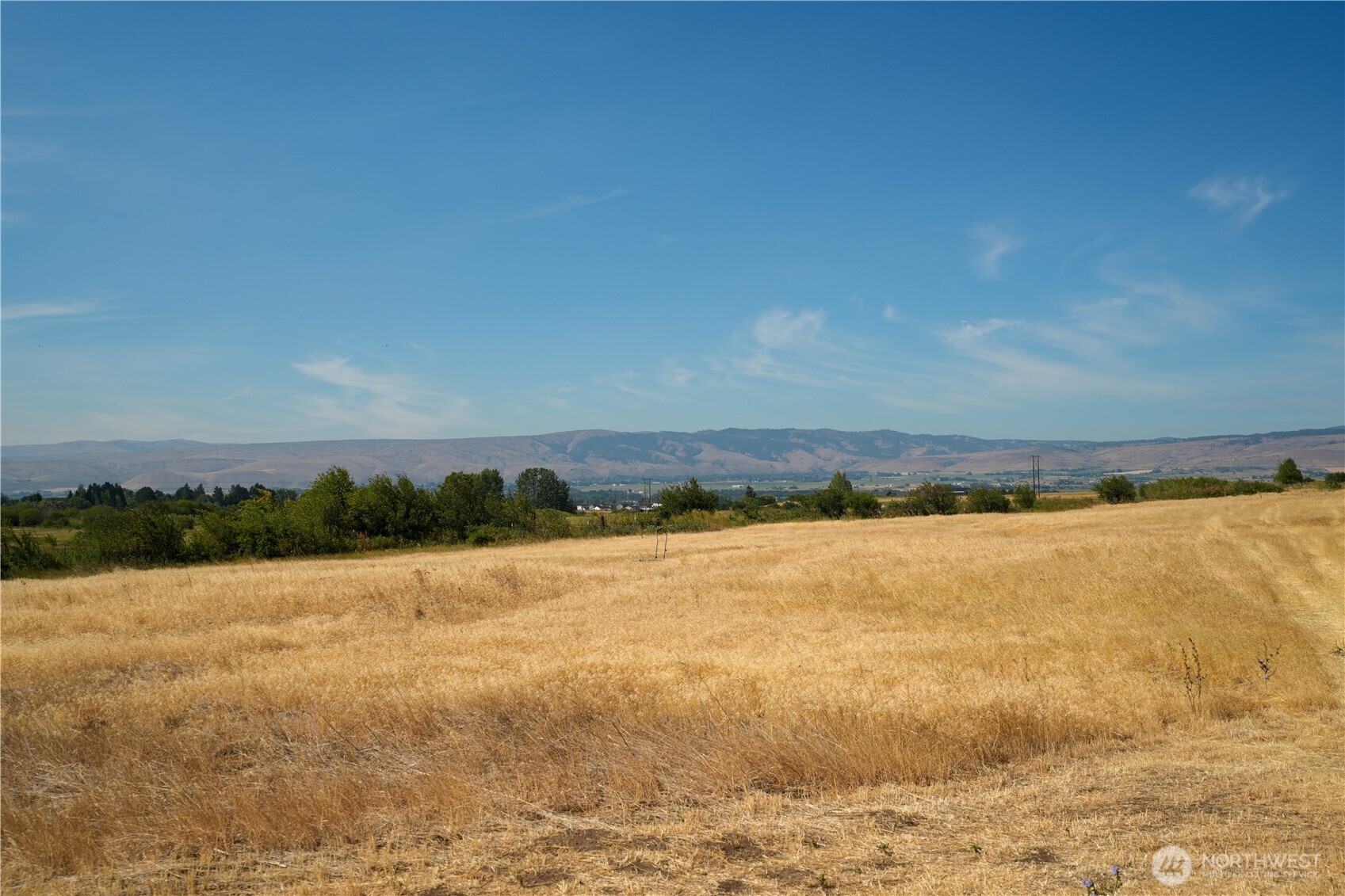 1107 Saddlerock Drive Property Photo 6