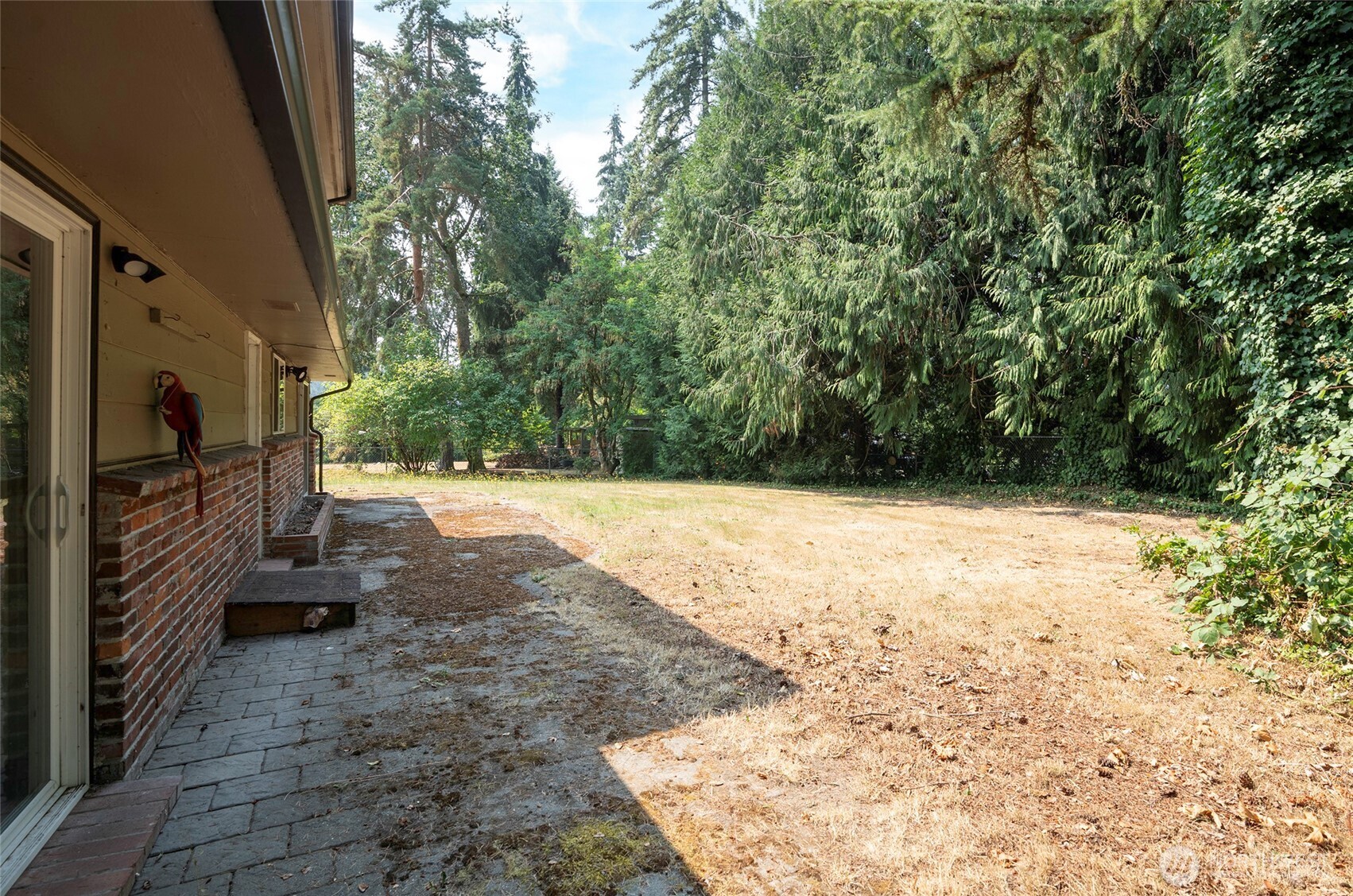 619 Cougar Street Property Photo 28