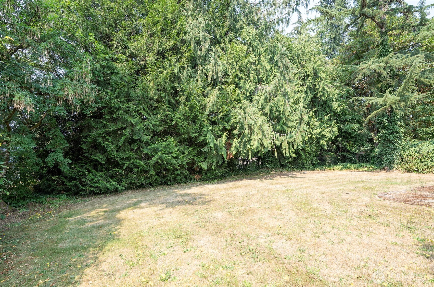619 Cougar Street Property Photo 31