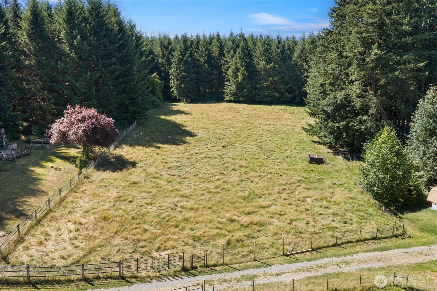 13505 Ne Grantham Road Property Photo 34