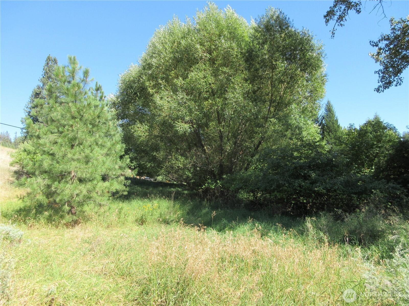 0 Customs Road Property Photo 8