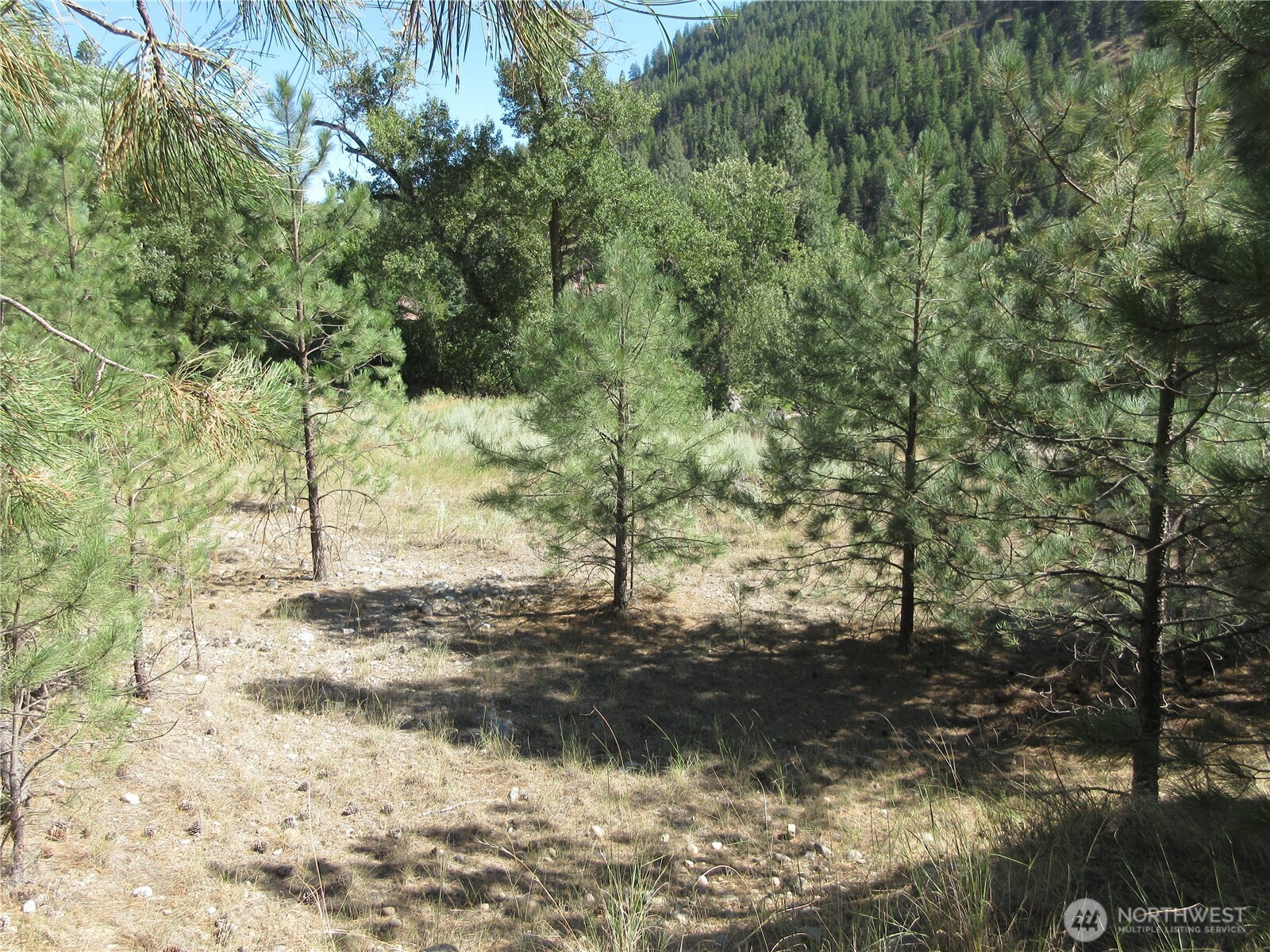 0 Customs Road Property Photo 13