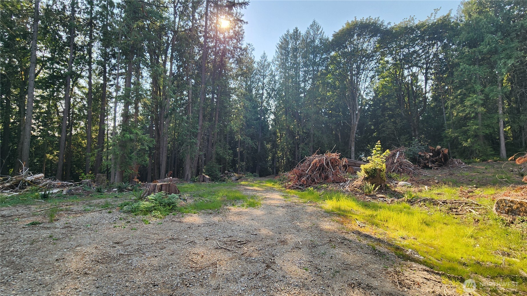 18813 126th Street Property Photo 3