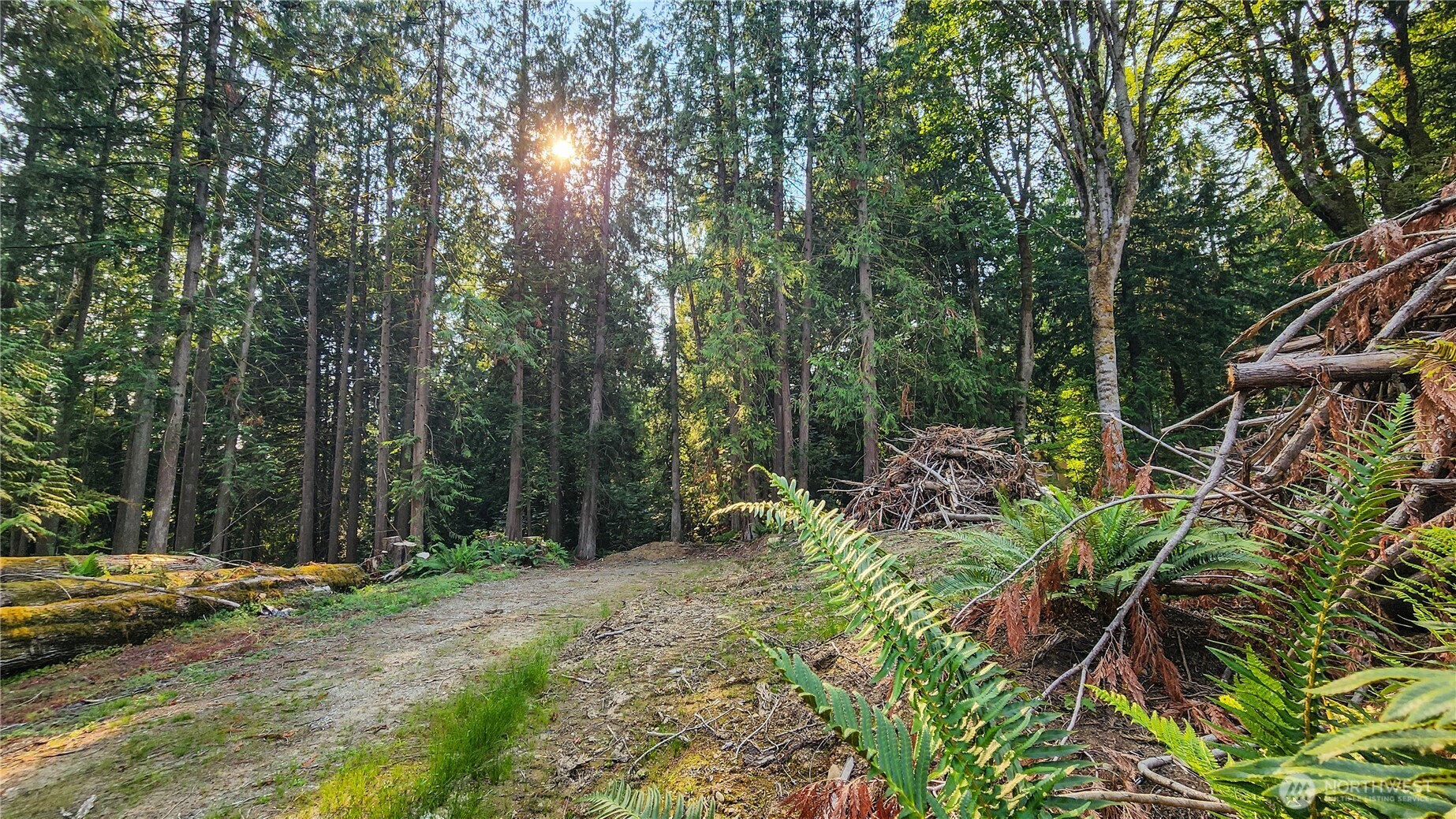 18813 126th Street Property Photo 5