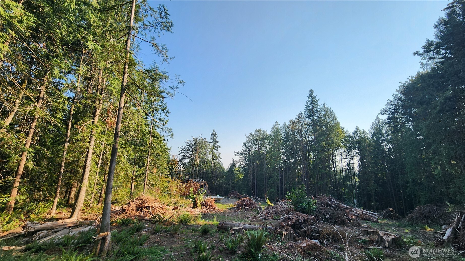 18813 126th Street Property Photo 12