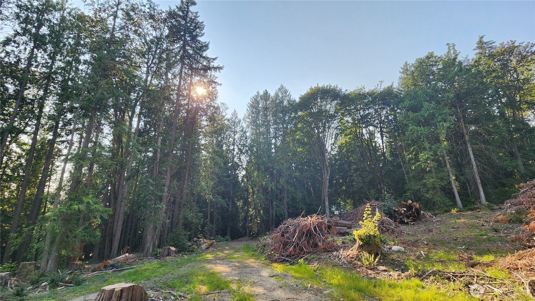 18813 126th Street Property Photo 14