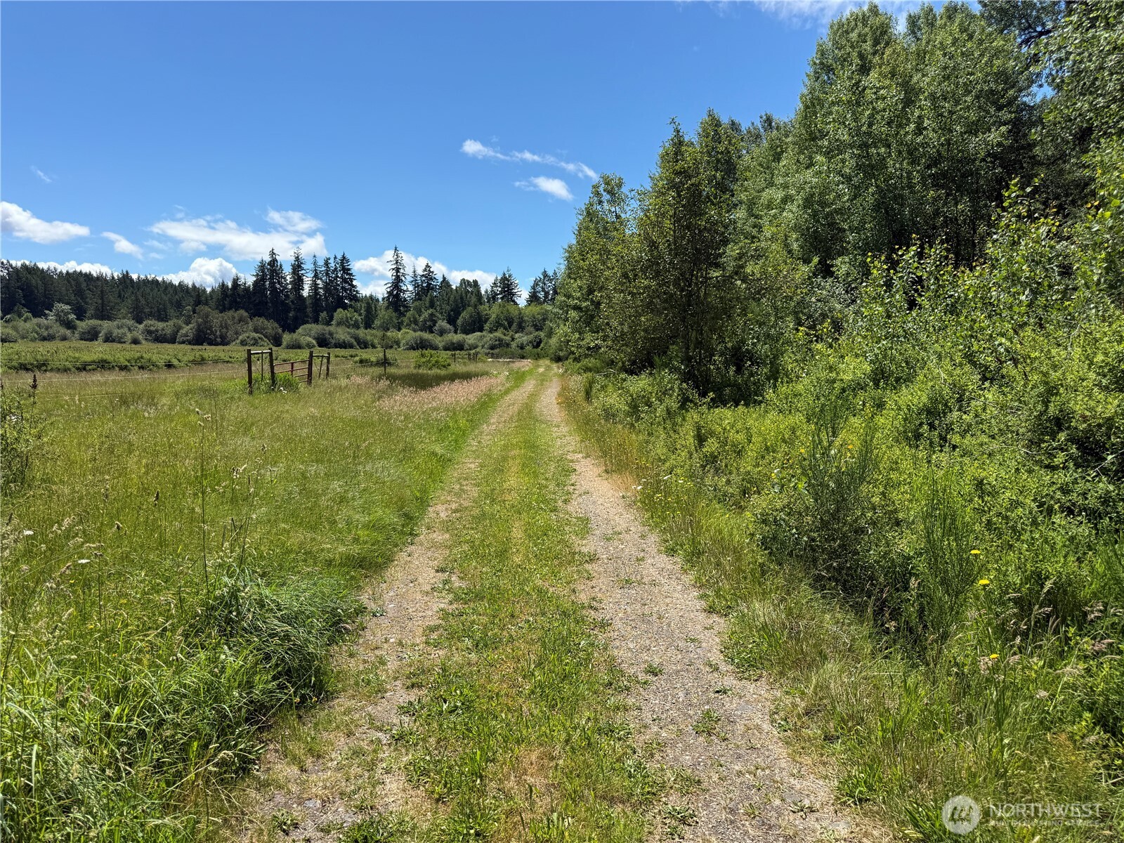 202 184th Avenue Ct Property Photo 5