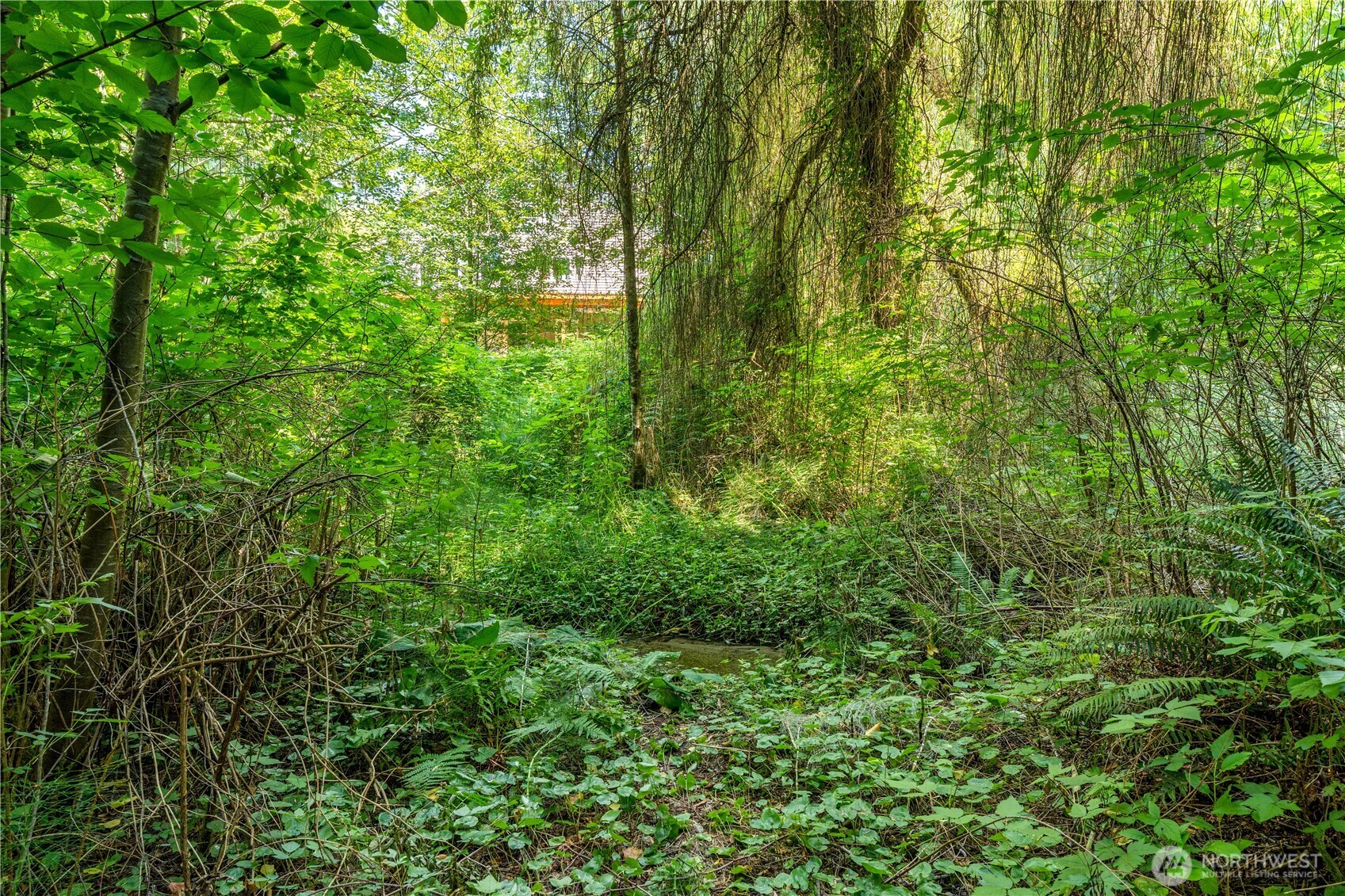 10110 Olalla Valley Road Property Photo 33