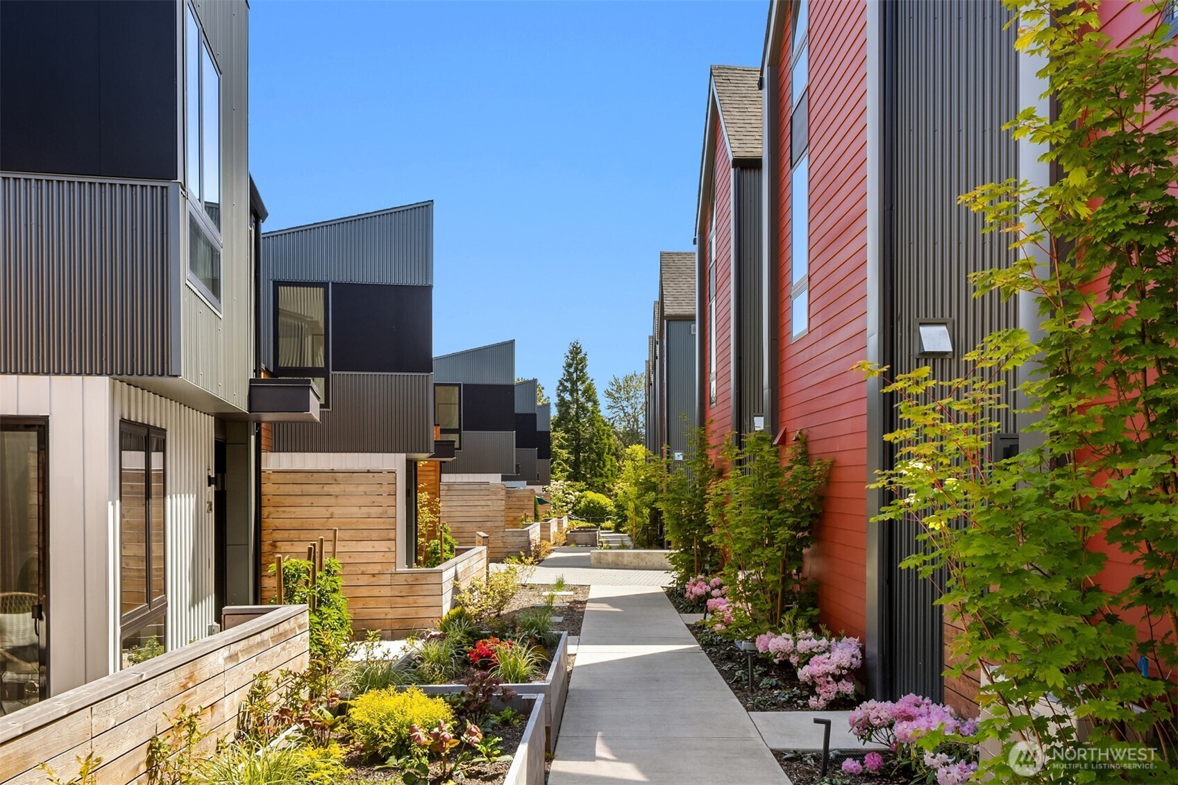 228 Canopy Path Property Photo 4