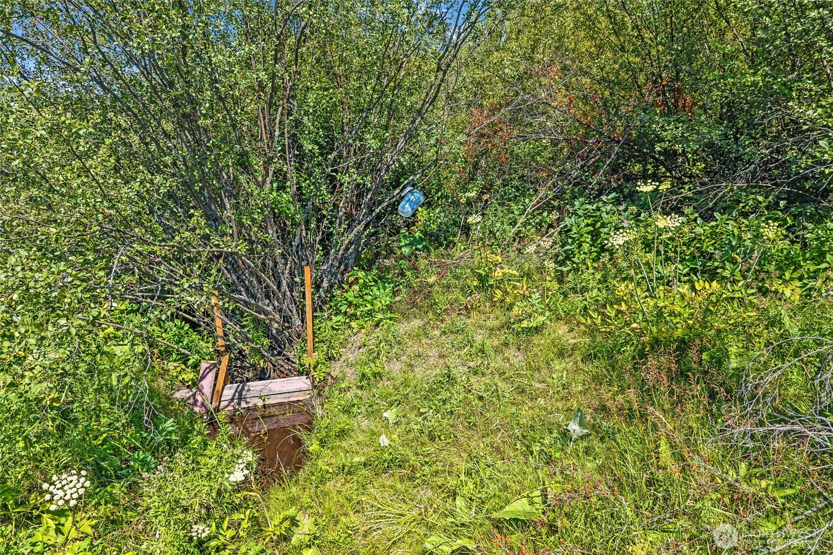 1622 I Clugston Onion Creek Road Property Photo 38