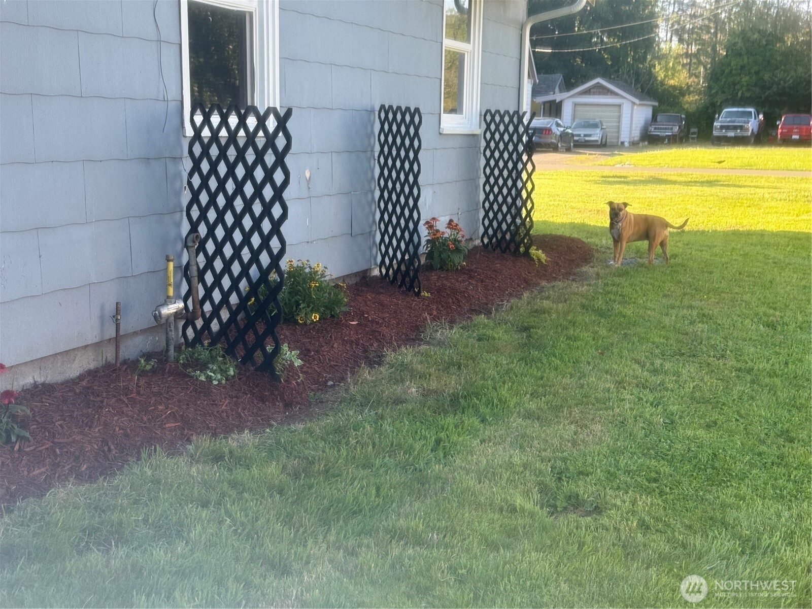 915 Thomas Street Property Photo 5