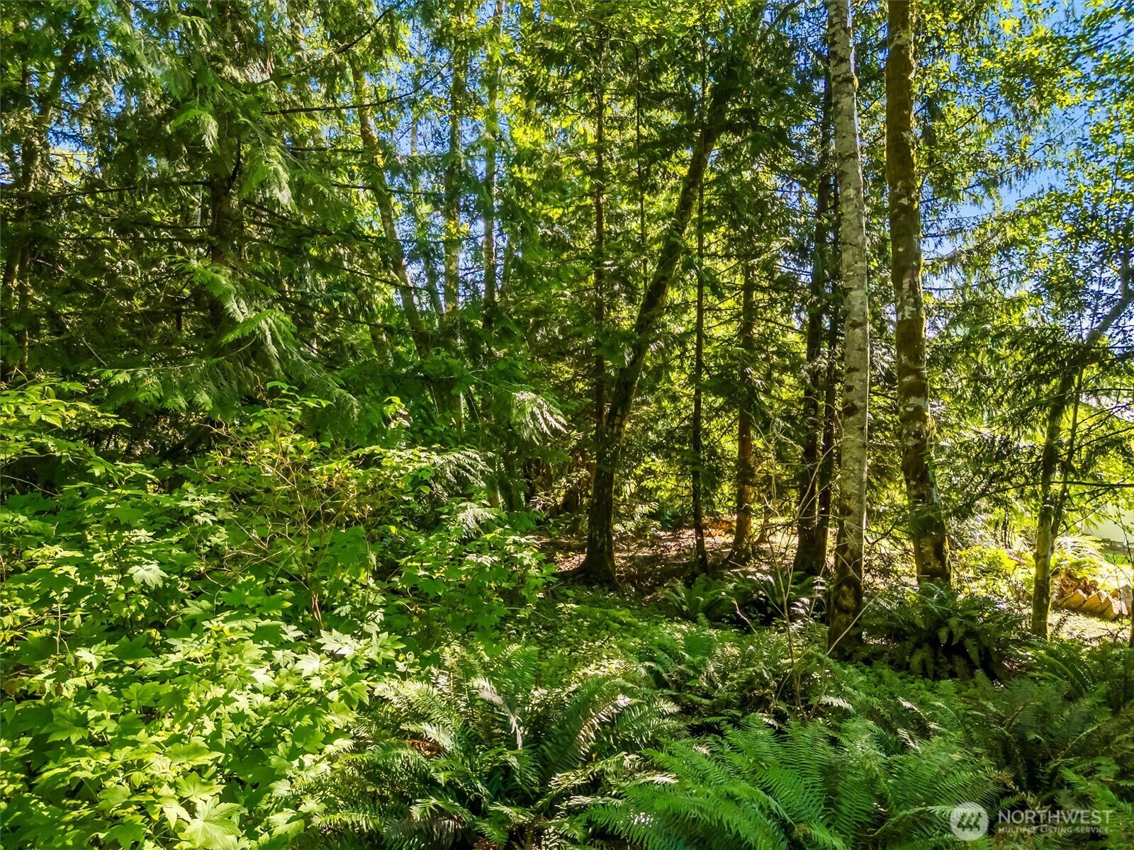 0 Beaver Place Property Photo 3
