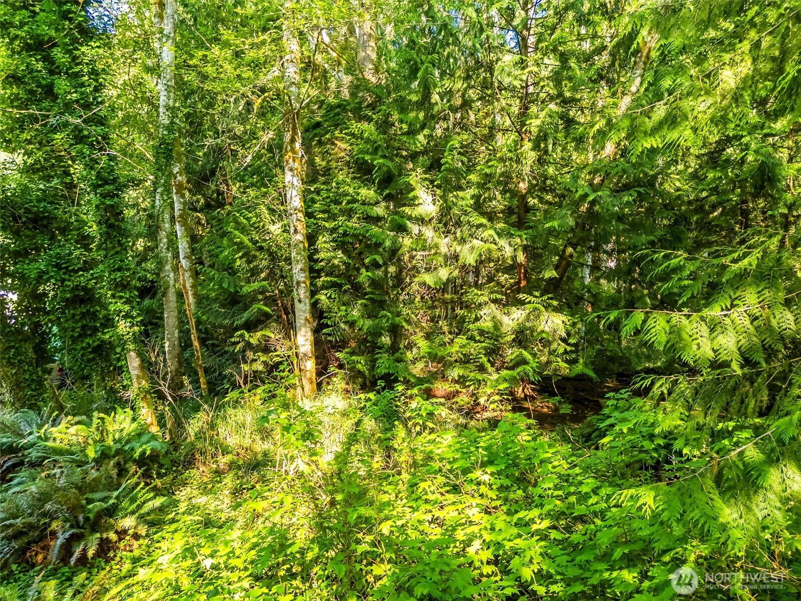 0 Beaver Place Property Photo 6