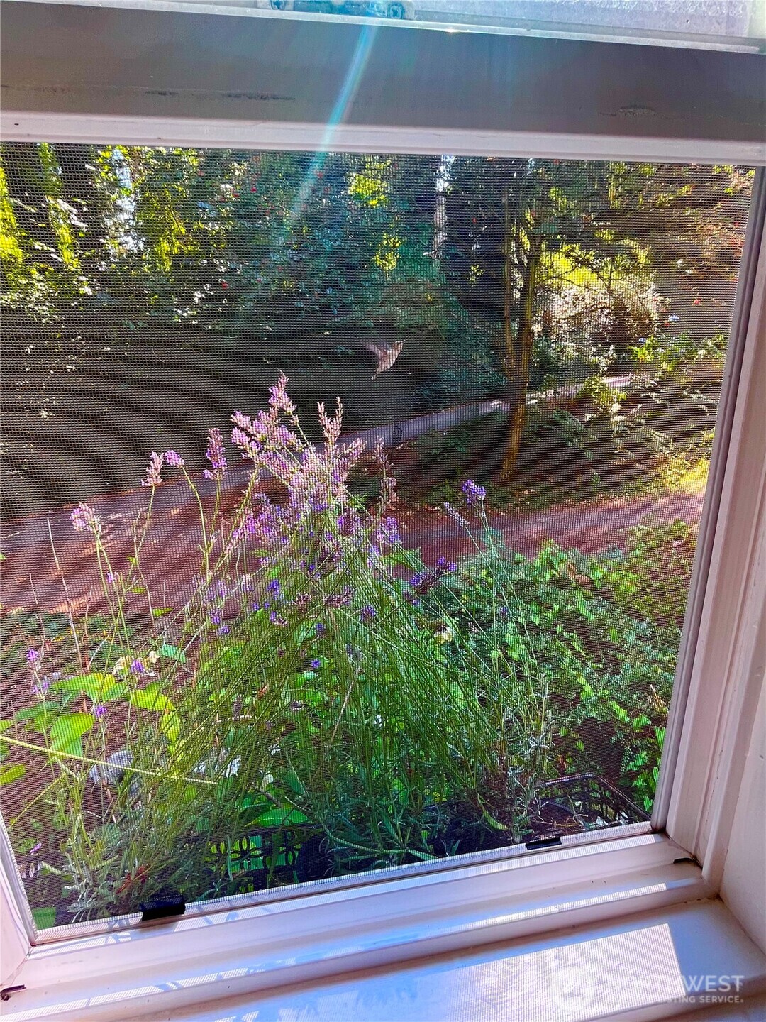 4420 S 200th Street Property Photo 3