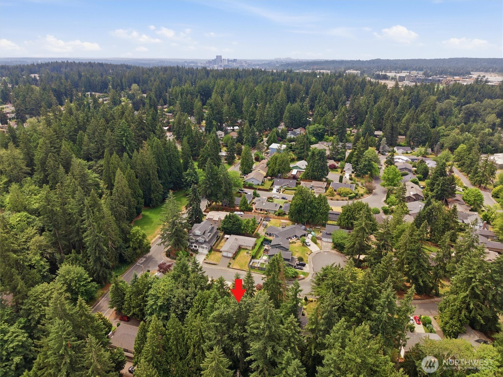 3020 169th Avenue Property Photo 37