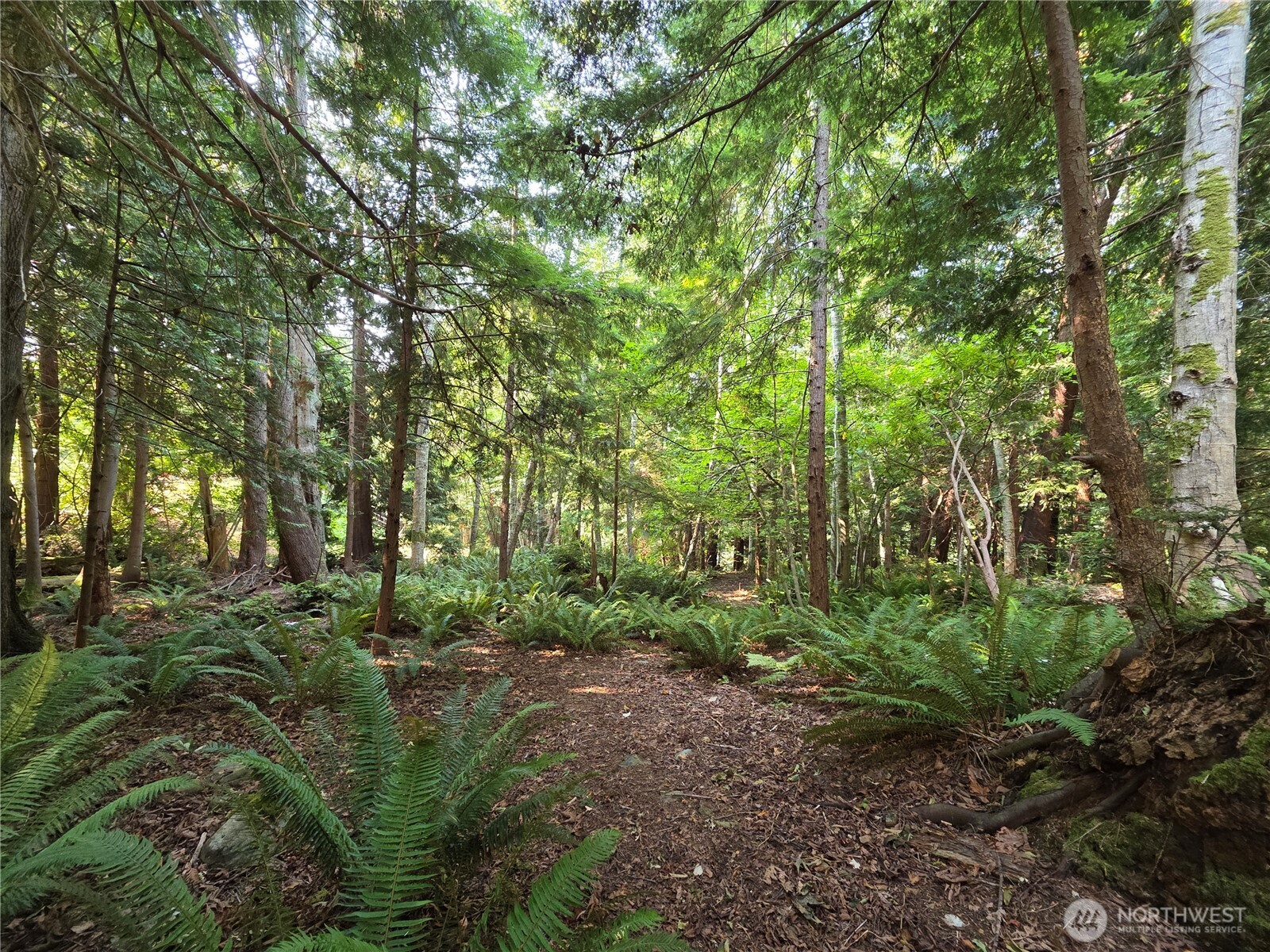 0 Cirque Drive Property Photo 1
