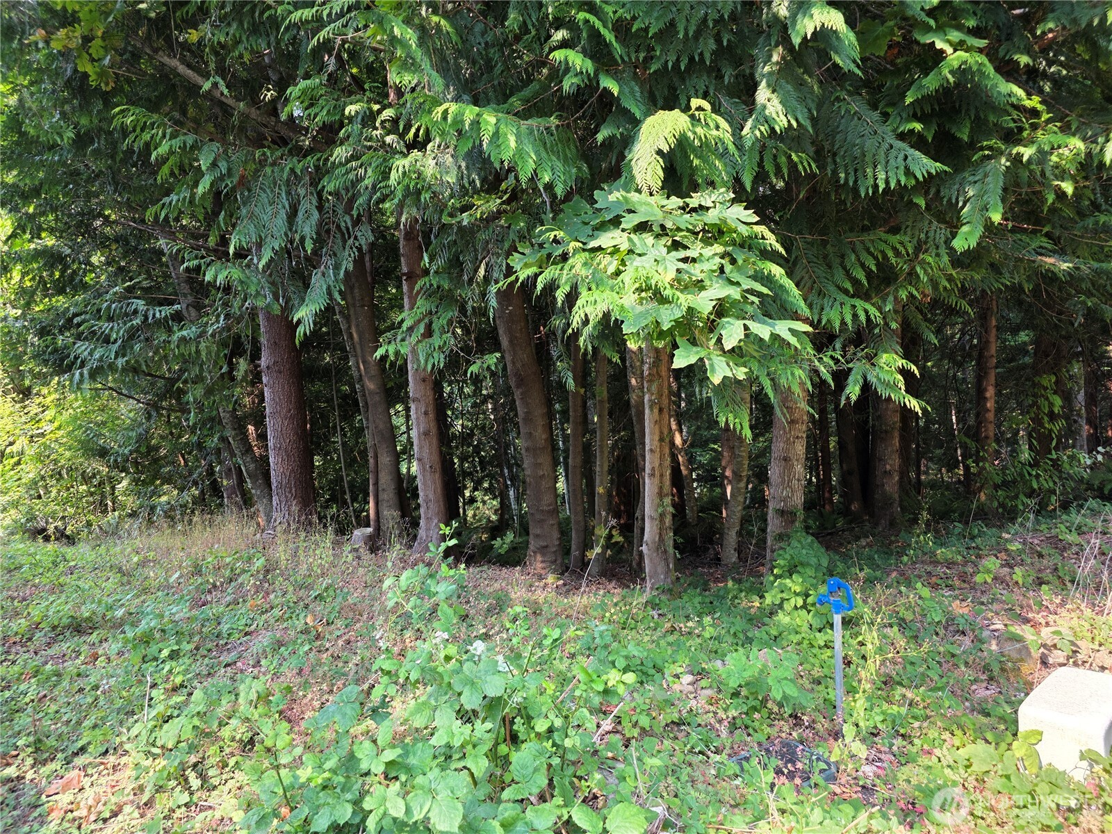 0 Cirque Drive Property Photo 3