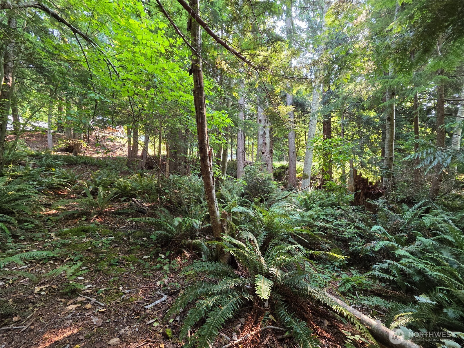0 Cirque Drive Property Photo 6
