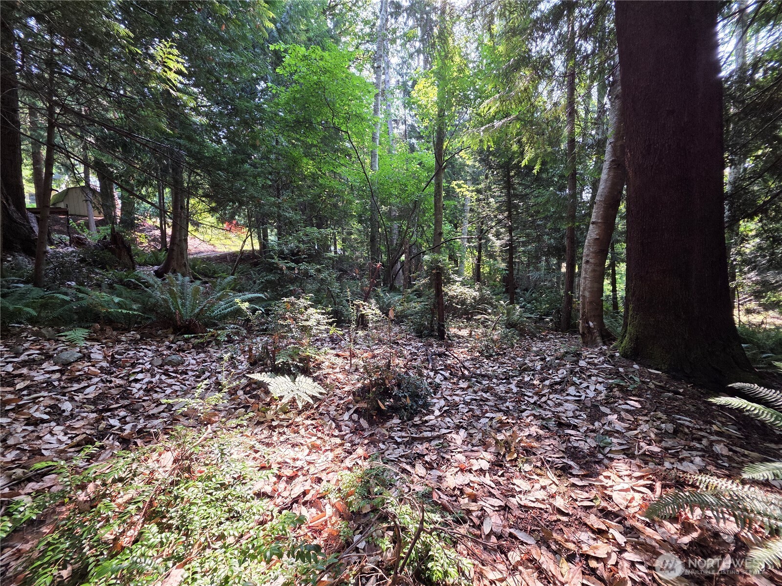 0 Cirque Drive Property Photo 7