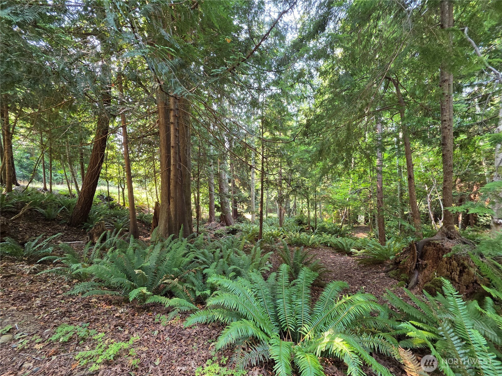 0 Cirque Drive Property Photo 10