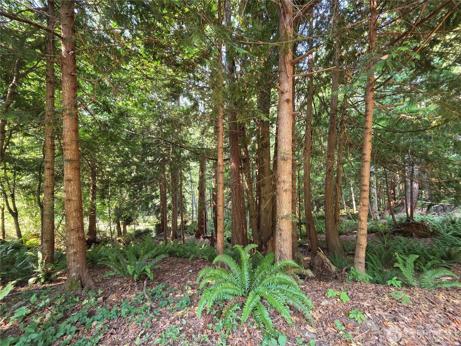 0 Cirque Drive Property Photo 11