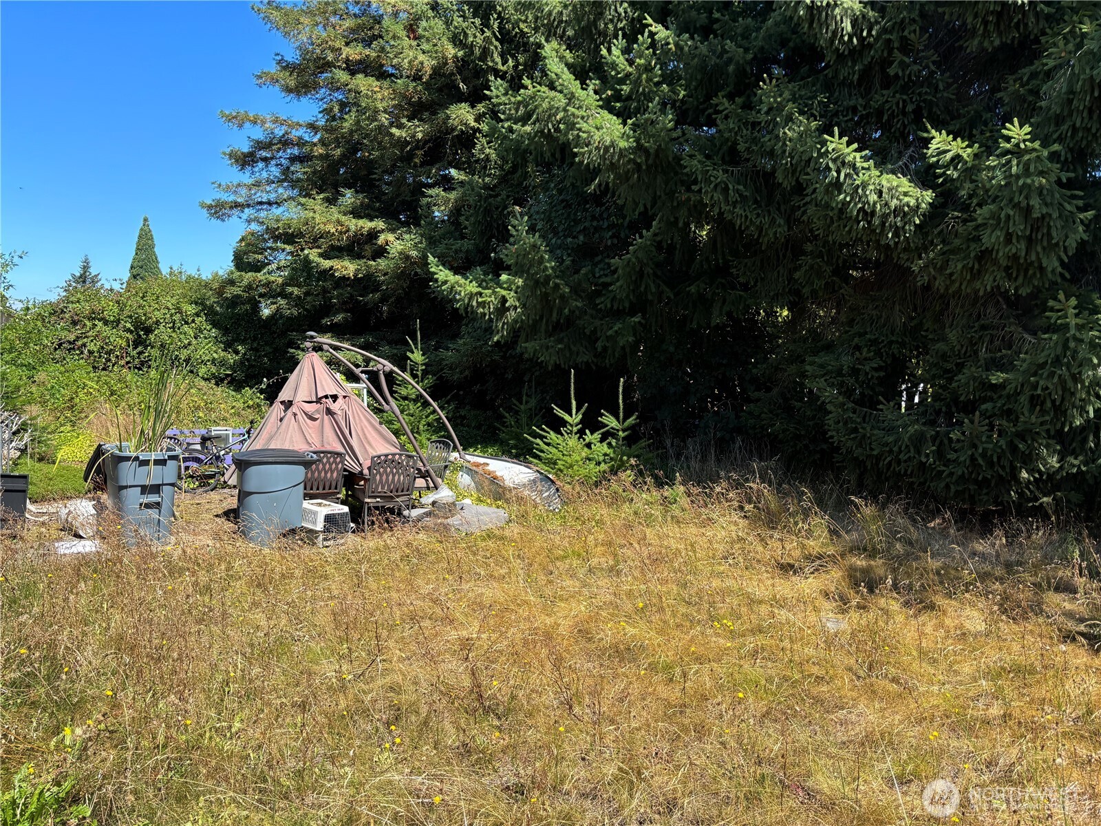 8554 Bender Road Property Photo 11