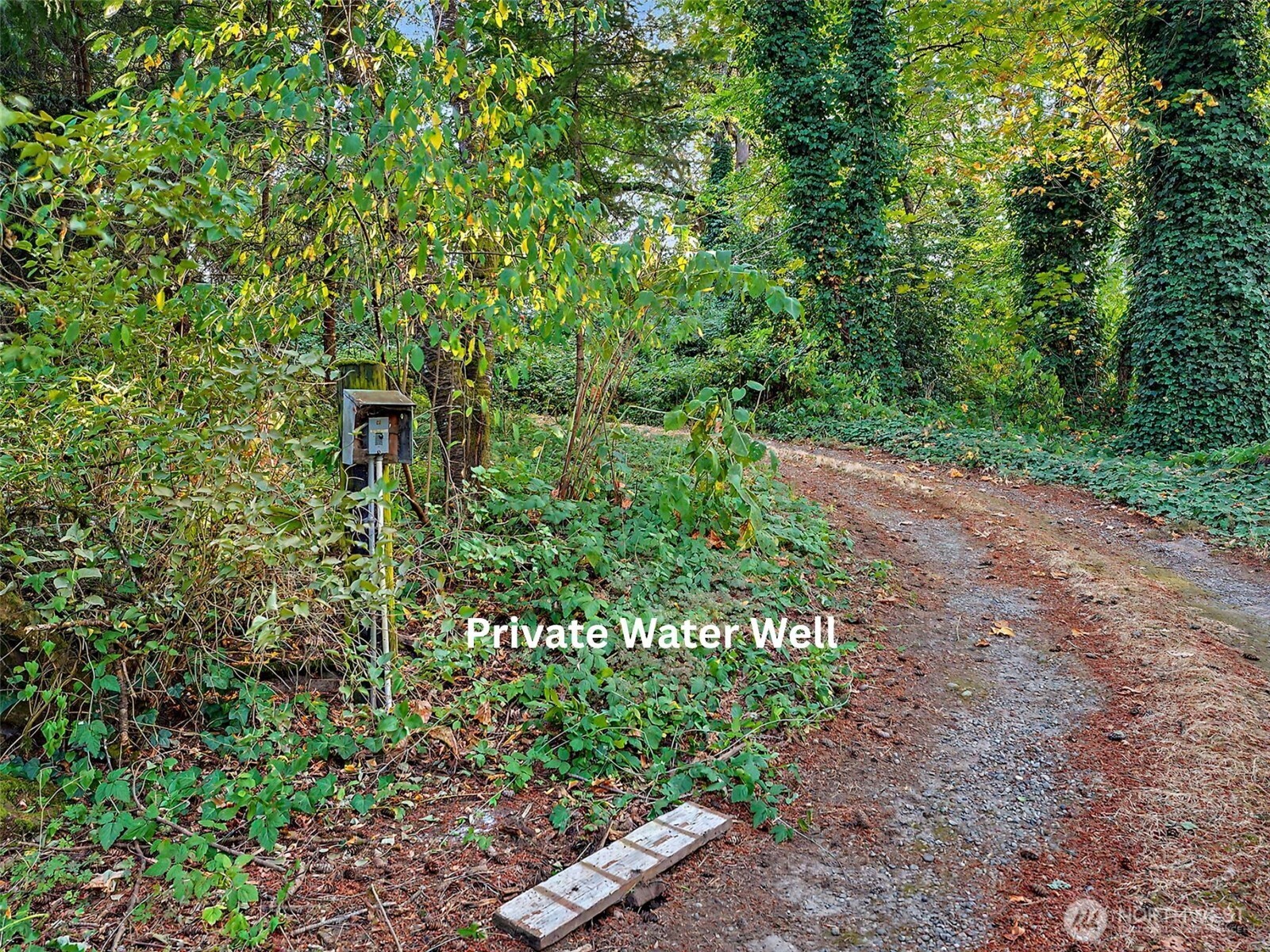 7508 Woodland Avenue Property Photo 28