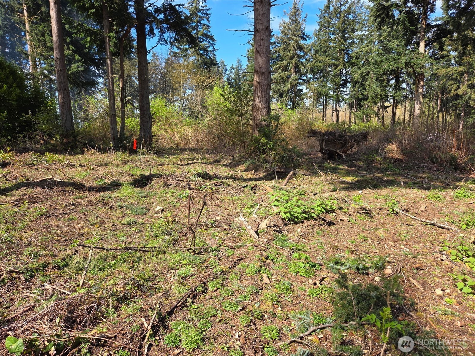 70 B Port Susan Drive Property Photo 6