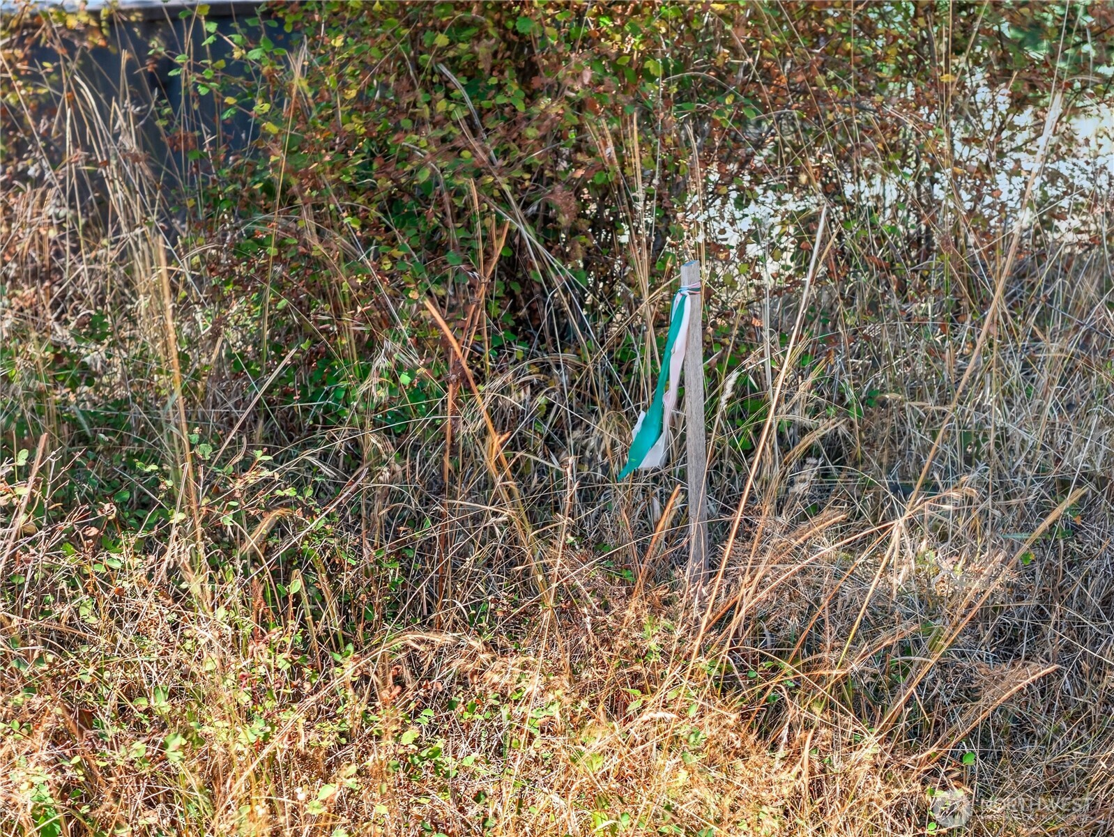 7436 Hideaway Lane Property Photo 14