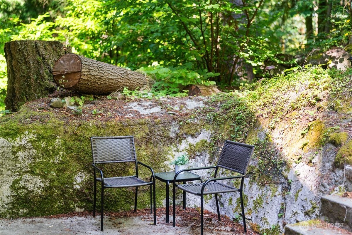 25525 Se Tiger Mountain Road Property Photo 26