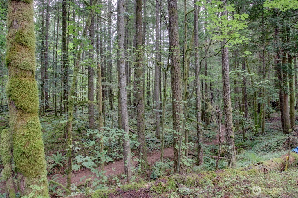 18 Wilderness Way Property Photo 2