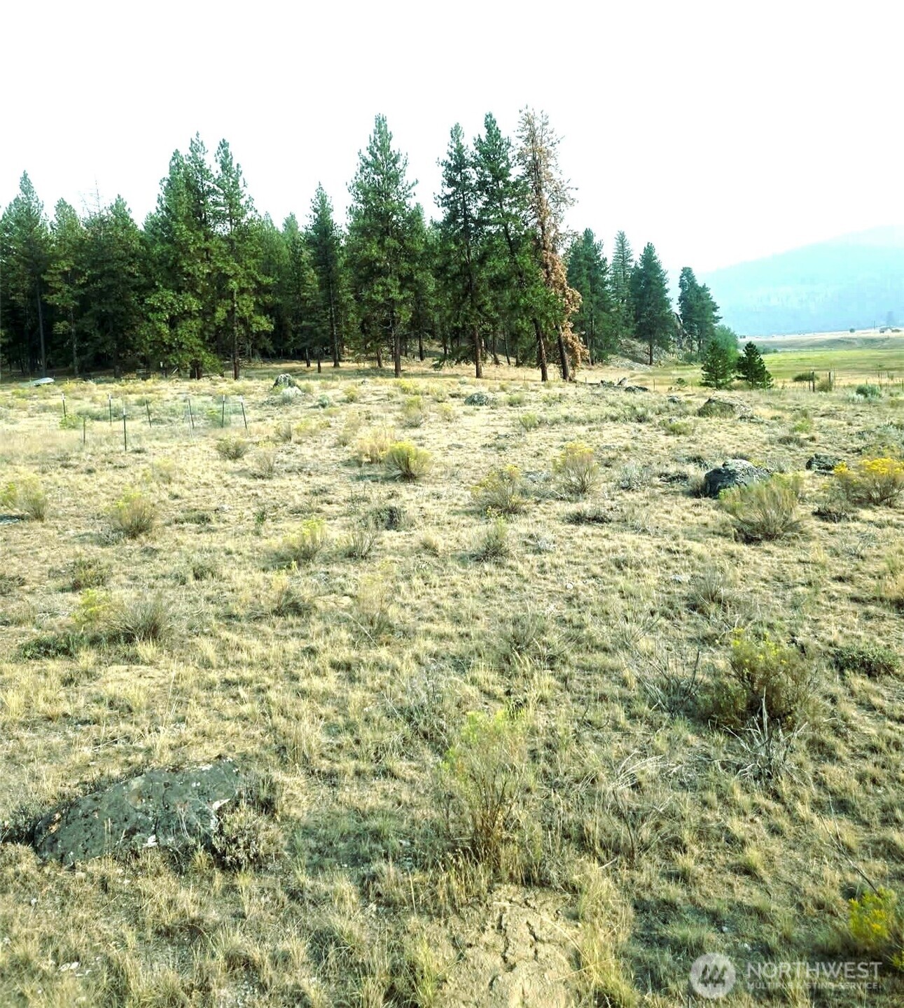 41 Tbd Main Rd Property Photo 4