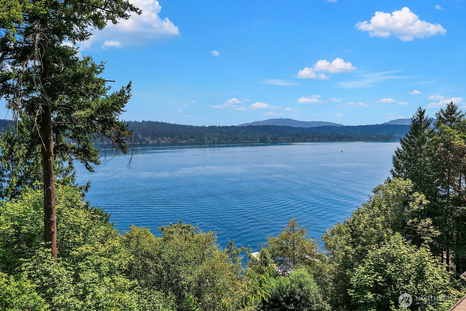 1464 W Lake Sammamish Parkway Property Photo 1